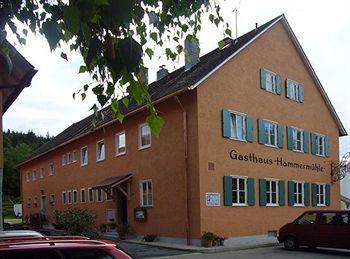 Landgasthof-Hotel Hammermühle Donaustauf Exterior foto